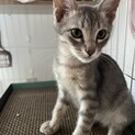 抱きしめたくなる可愛さデクくん❤️