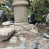 雑種の男の子です！ サムネイル3