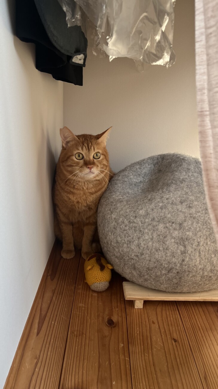 チャトラン