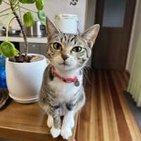 れなちゃん