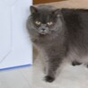 恥ずかしがりの甘えん坊♡ひとりっ子で愛されたい子 サムネイル3