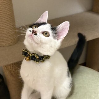 かわいいテンちゃん❣️