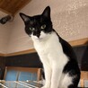 りょうまとマスク