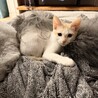 の写真