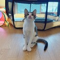 ふんわり優しいお顔のおんなのこ