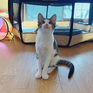 ふんわり優しいお顔のおんなのこ