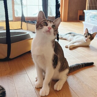 シャイなおっとりさん
