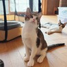 シャイなおっとりさん