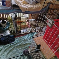 相変わらずの仲良しです