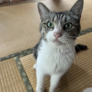 愛嬌のかたまり！ドラミちゃん☆