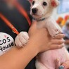 9月5日渡会参加　ハーブ兄弟　タイム サムネイル2