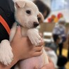 9月5日渡会参加　ハーブ兄弟　タイム サムネイル3