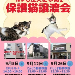 流山市♡保護猫譲渡会♡NPO法人にゃん2