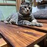おっとり優しい男の子、りこ君★ サムネイル2