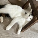 ２歳　モジモジ系女子