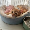 よく食べよく遊ぶ♪元気いっぱい純ちゃん