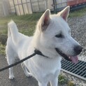 生後8ヶ月 気が小さいけどおっとり優しい男の子