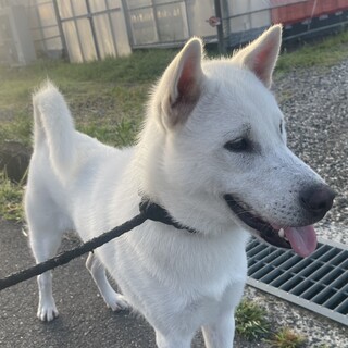 生後8ヶ月 気が小さいけどおっとり優しい男の子
