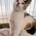 かわいいカリンちゃん❣️