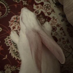 よろこび