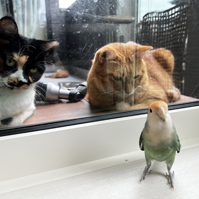 @そらのカバー写真