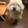 @そら