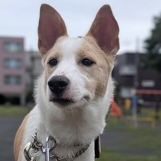 困り顔がかわいいもよちゃん❤︎