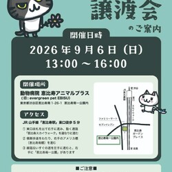 保護ねこ譲渡会
