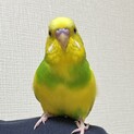 ありがとうございました。
