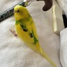 ありがとうございました。 サムネイル2