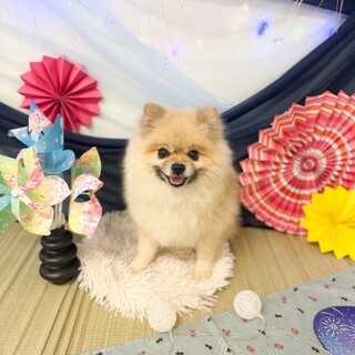 【なつ】おやつ大好きなもふもふおじちゃん
