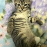 甘えん坊男の子 サムネイル5