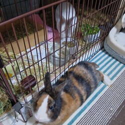 「食べる時は」サムネイル2