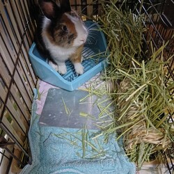 「食べる時は」サムネイル3