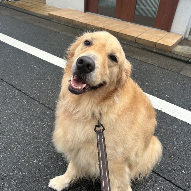 むぎの親のカバー写真