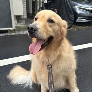 Τ���罸�Υ�����ǥ��ȥ�С� �������