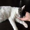 とっても人懐っこい男の子 サムネイル5