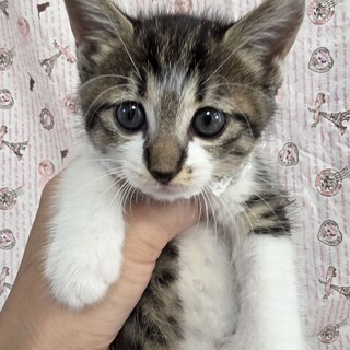 危機一髪で洪水を免れた！ルンルン♡