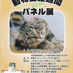 摂津市市制施行６０周年記念講演 サムネイル2