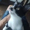 お髭が可愛いマリンちゃん！ サムネイル3