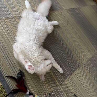 たびの写真