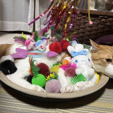 の写真