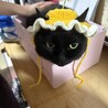 の写真