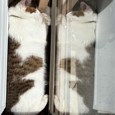 の写真