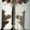 の写真