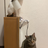 ちょっぴり臆病な女の子。 サムネイル6