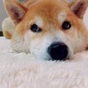 ゆにゆこ