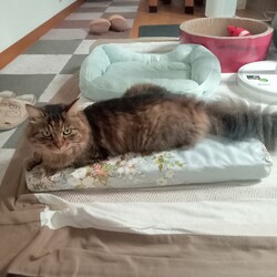 くも膜下出血で入院しています