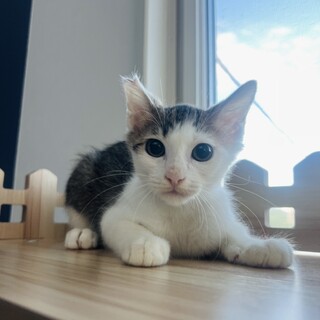 お出迎え得意！甘えん坊‪‪の‬ポンポン君‪‪❤︎‬