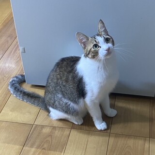 優しいイケメン‪‪❤︎‬ディンディン君
